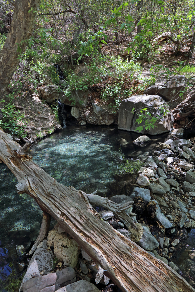 the clear waters of Jordan Hot Springs which is one of the best New Mexico hot springs