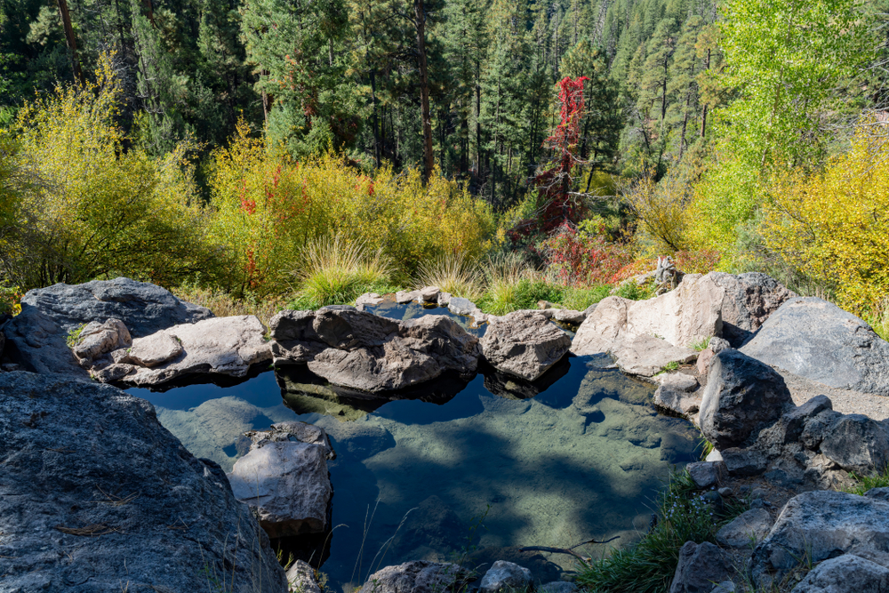 the view of the forest from Spence Hot Springs which is one of the best New Mexico hot springs