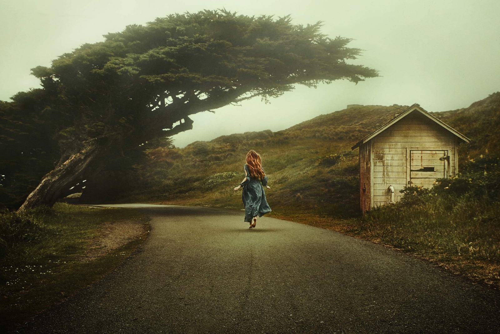 A woman walking away in a dark blue cottagecore dress