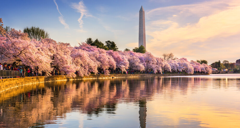 Washington DC during fall, one of the best weekend getaways on the east coast