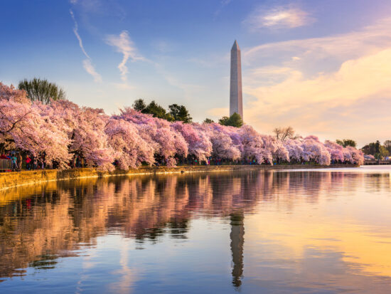 Washington DC during fall, one of the best weekend getaways on the east coast