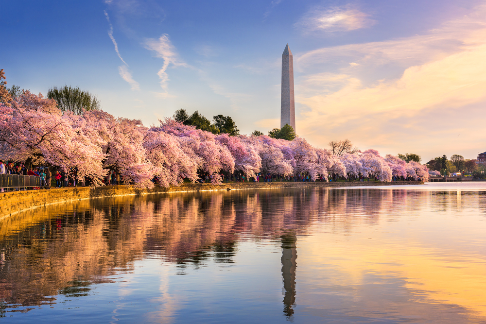 Washington D.C. should be visited at least once since it is a great weekend getaway on the East Coast.