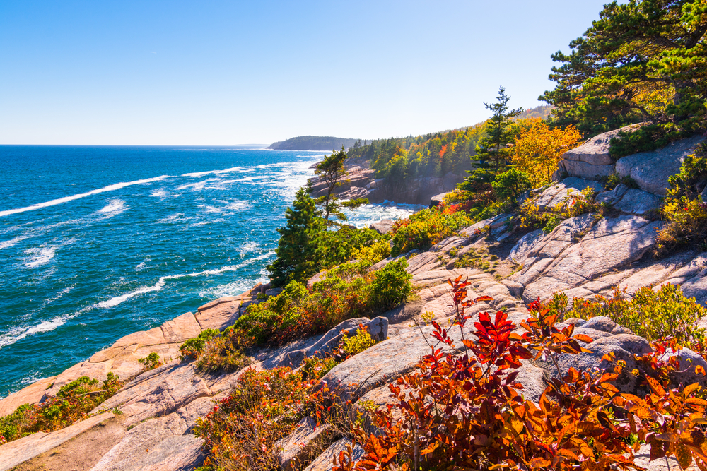 A rocky shore in coastal Maine at the Acadia National Park. There are trees, grasses, and views of the ocean.