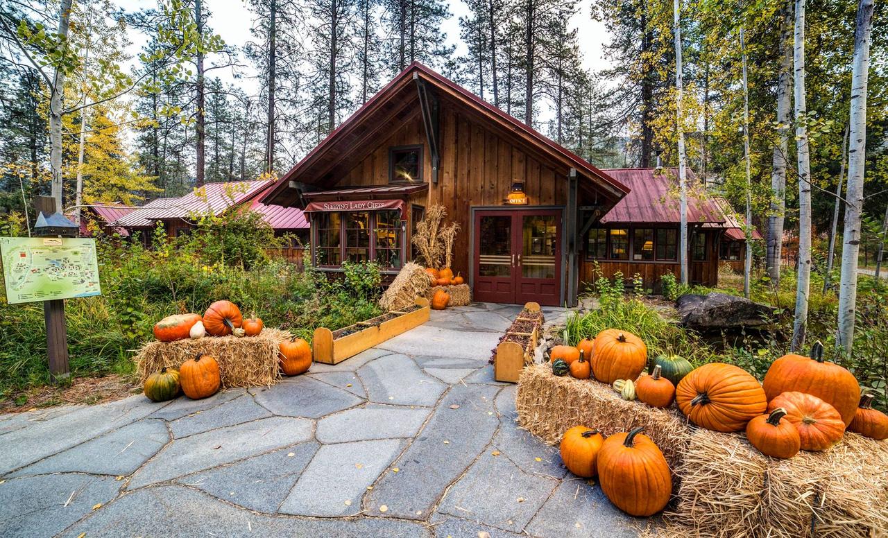 photo of sleeping lady mountain resort
