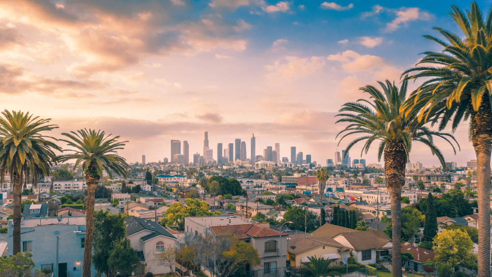 The view of the Los Angeles skyline on a partially cloudy day with palm trees in the foreground