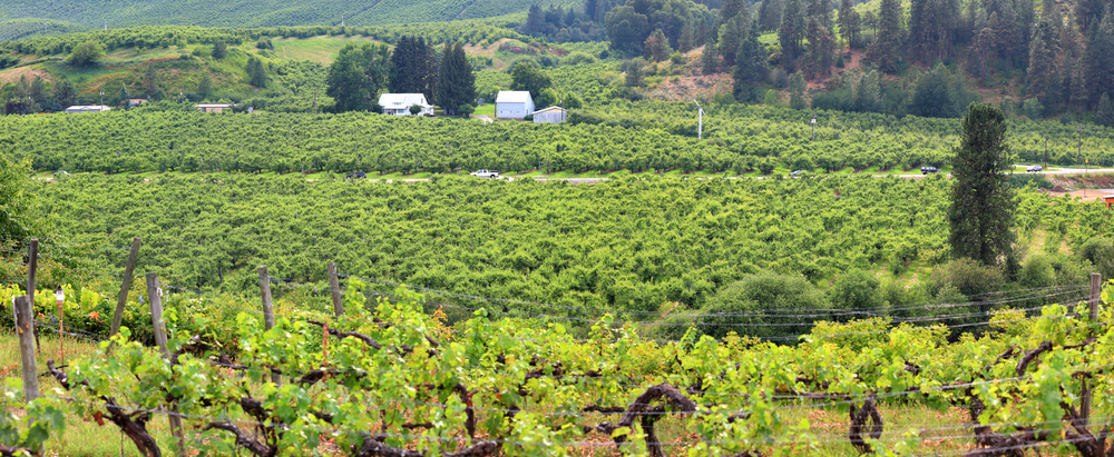 photo of a local winery one of the nicest things to do in leavenworth WA