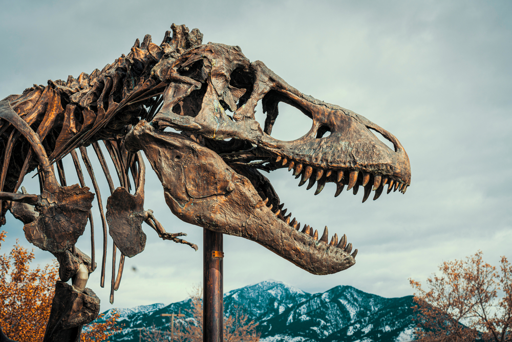 a photo of the museum of the rockies, one of the best things to do in montana with kids