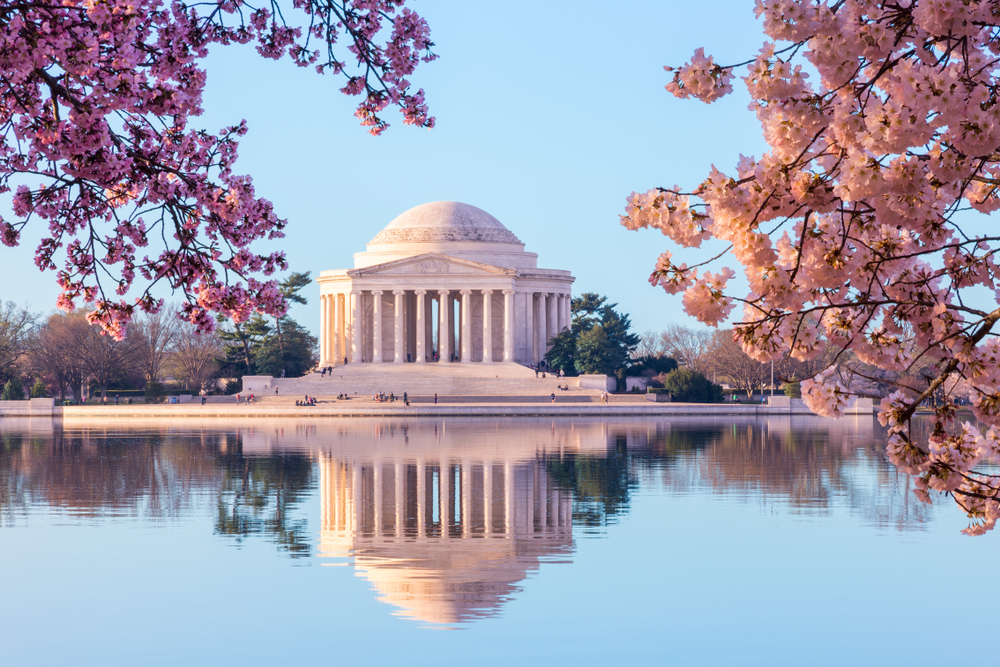 The Lincoln Memorial in Washington DC surrounded by blooming cherry blossom trees.