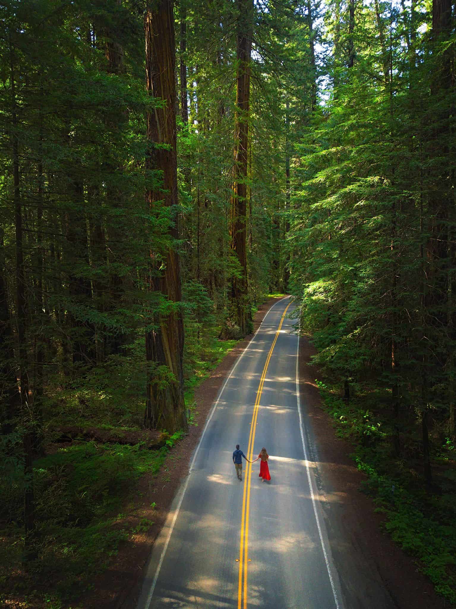 A couple standing in the middle of the road in the Avenue of Giants area of Northern California. The woman is wearing a long red dress and the man is wearing a blue shirt and khaki pants. The road goes out of frame and is surrounded by massive trees on both sides. The view is an aerial view. 