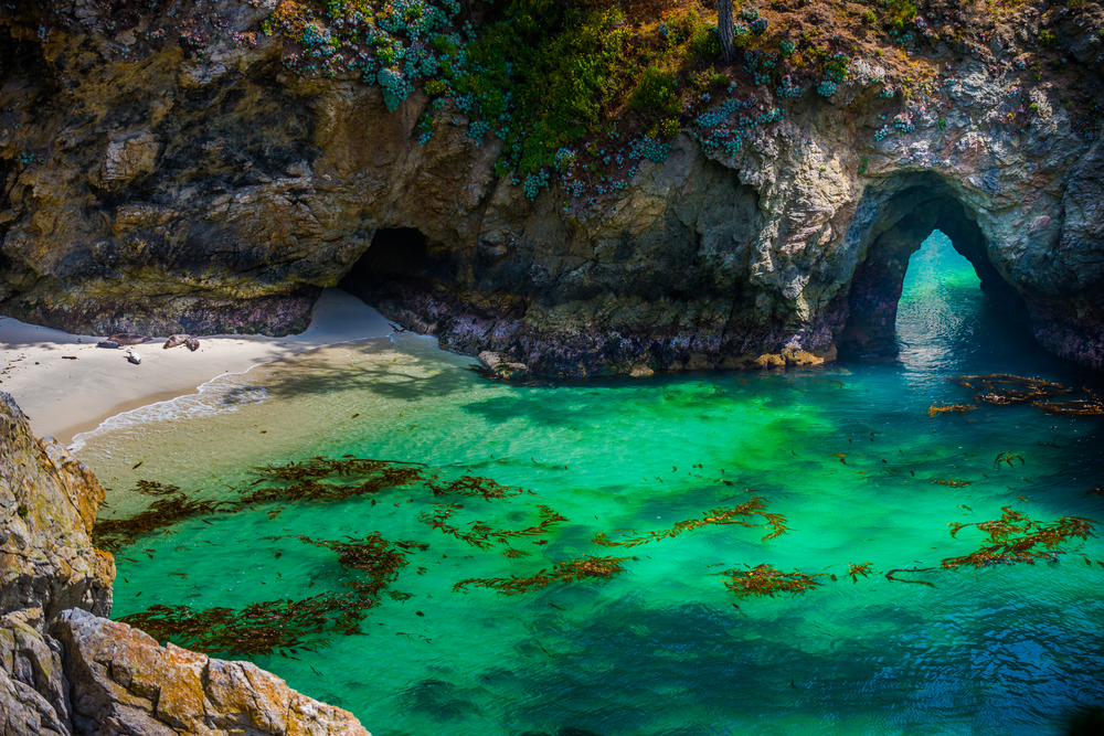 One of the coves in the Point Lobos State Natural Reserve. The cove has pale tan sand, bright blue green water with kelp floating in it, and it is surrounded by large rock formations. One of them has a large keyhole in it that you can see water through. 