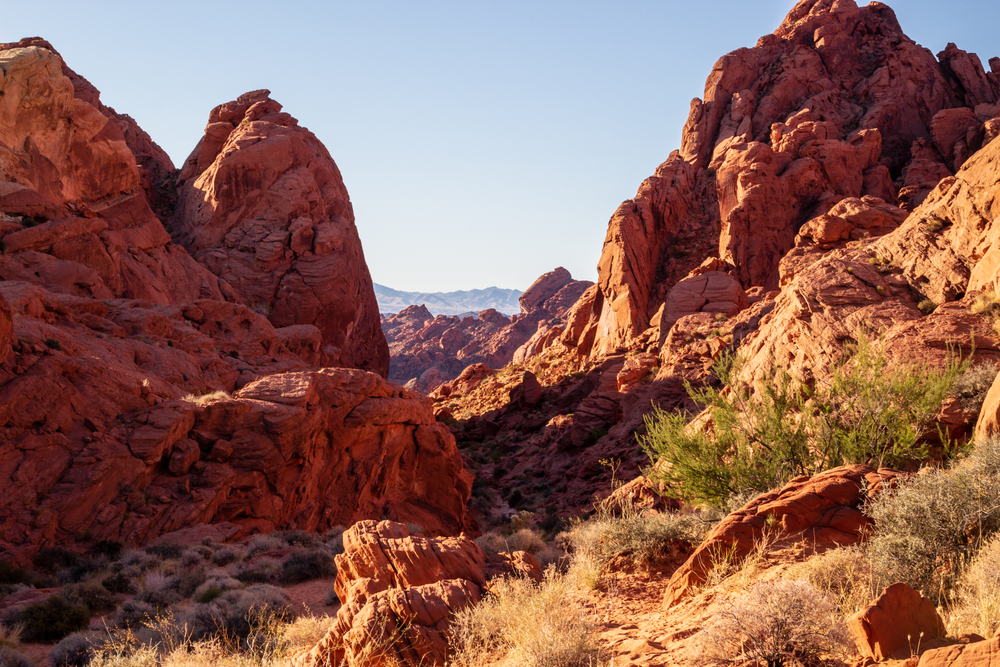 a zoomed out view of Petroglyph Canyon on the way to Mouse's Tank