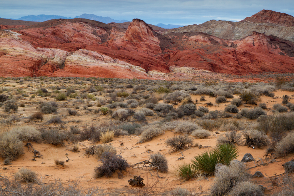 desert brush with colorful red, orange, and white striped mountains along the Rainbow Vista trail