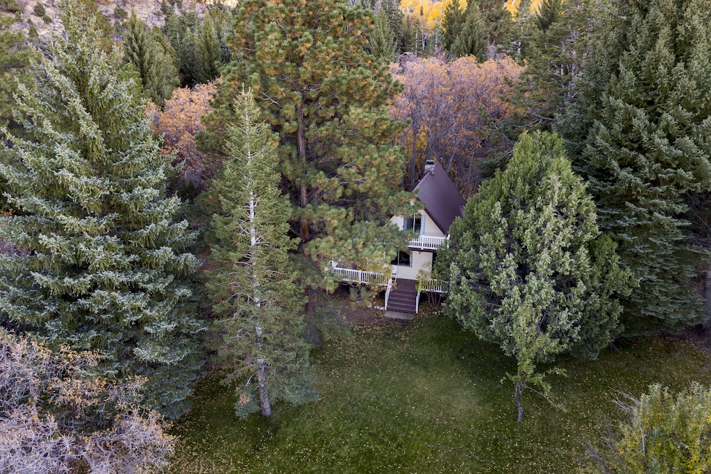 Aerial photo of a white A frame cottage surrounded by huge pine trees. This is one of the best vacation rentals in Utah.