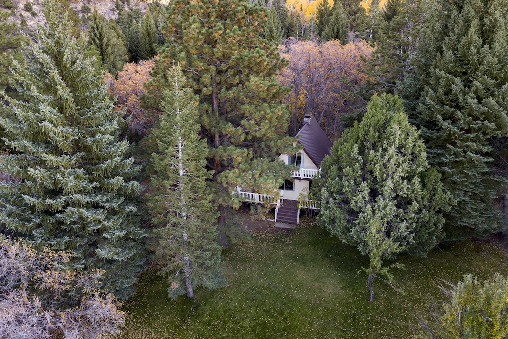 Aerial photo of a white A frame cottage surrounded by huge pine trees. This is one of the best vacation rentals in Utah. 