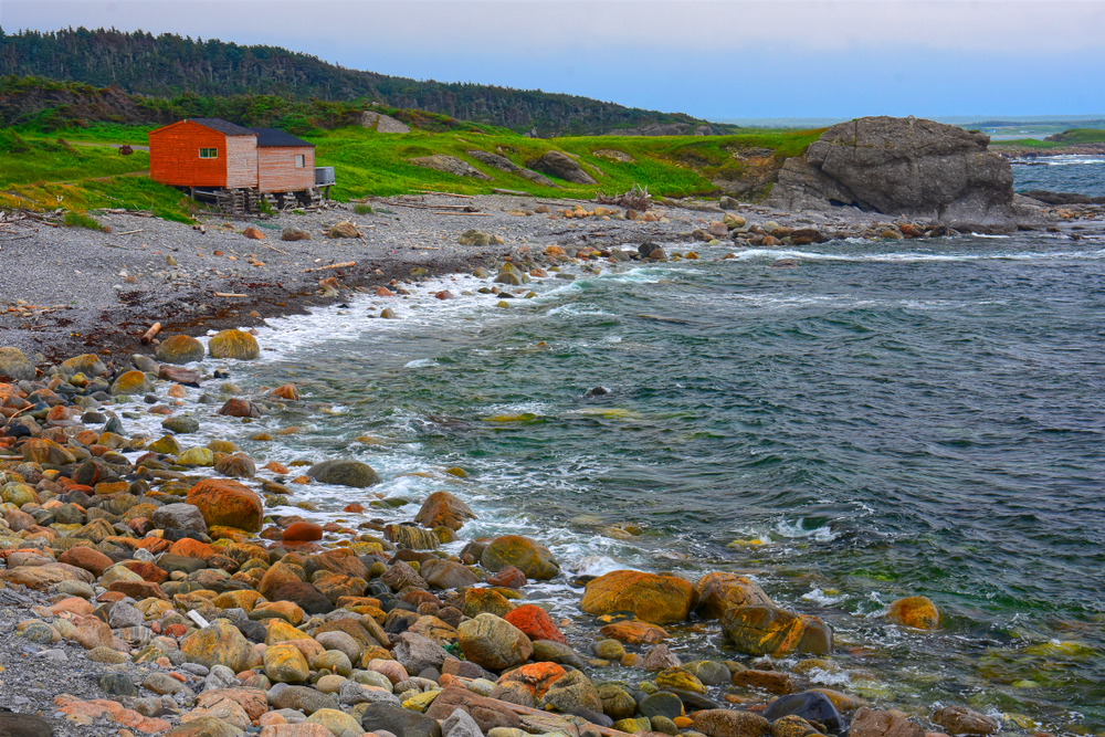 The shore of Broom Point in Gros Morne National Park. There is a small red cabin with faded paint on the front of it on the shore. The shore is covered in rocks and you can see grass growing in a hilly field behind the shore.