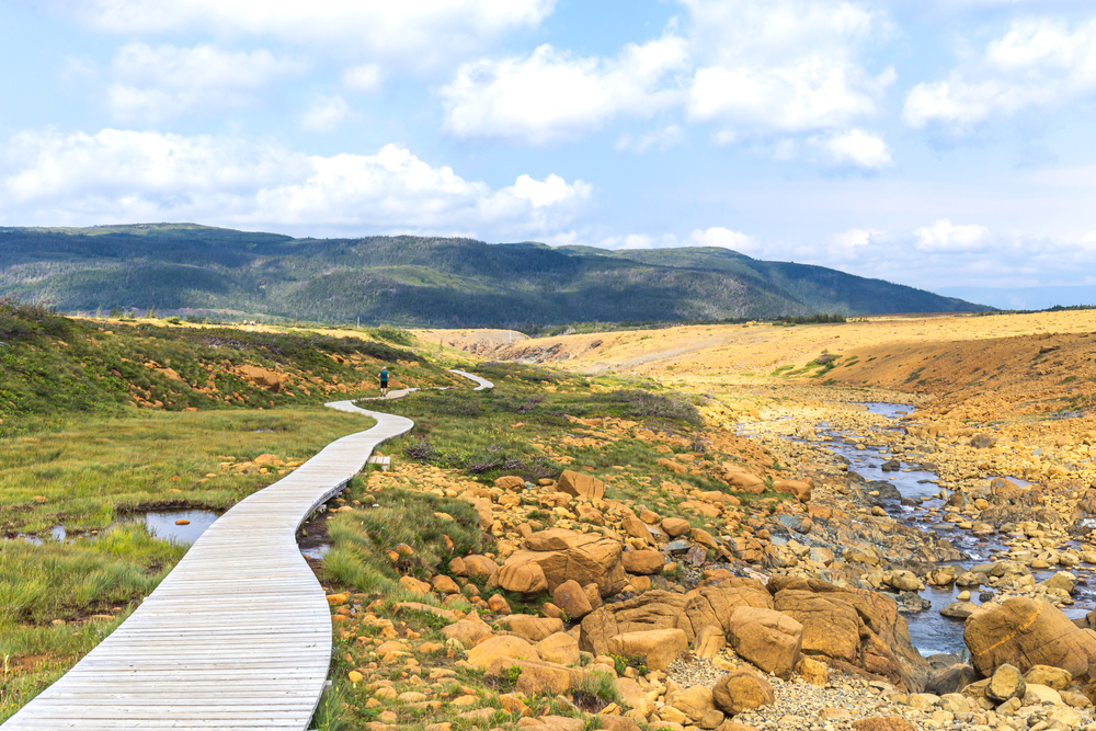 A boardwalk that goes through the tablelands. It is a part of the tablelands trail in Gros Morne National Park. On one side of the boardwalk there is a sandy desert looking landscape. On the other side there is a lush green landscape. 