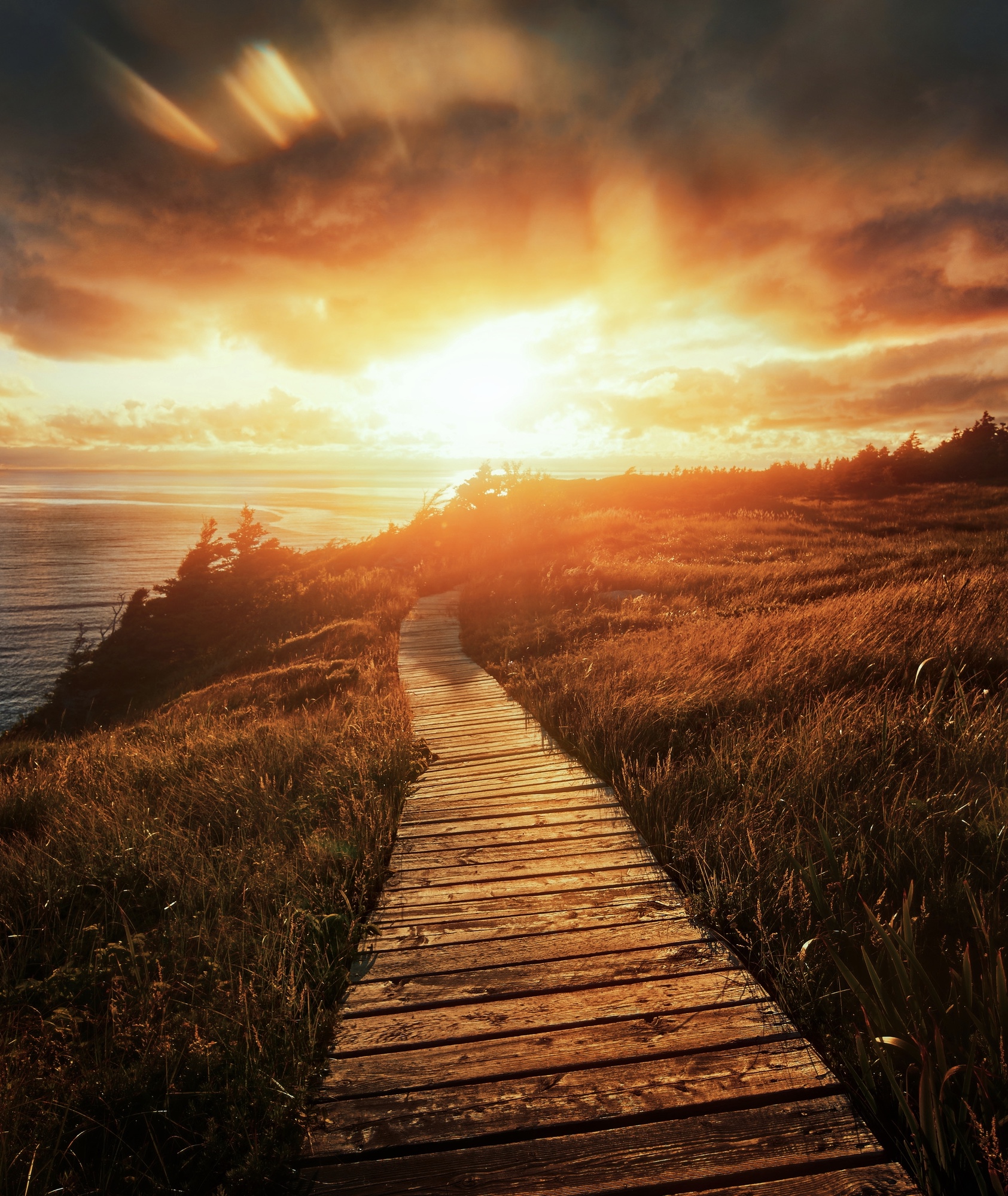 A boardwalk through a grassy area on the shore of a river. The sun is setting directly ahead and the sky is a bright orange and yellow. 