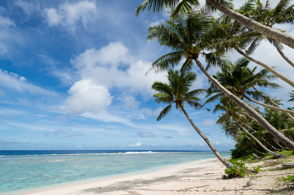 A calm ocean with a white sandy beach. There are lots of palm trees on the beach and it is a sunny day. 