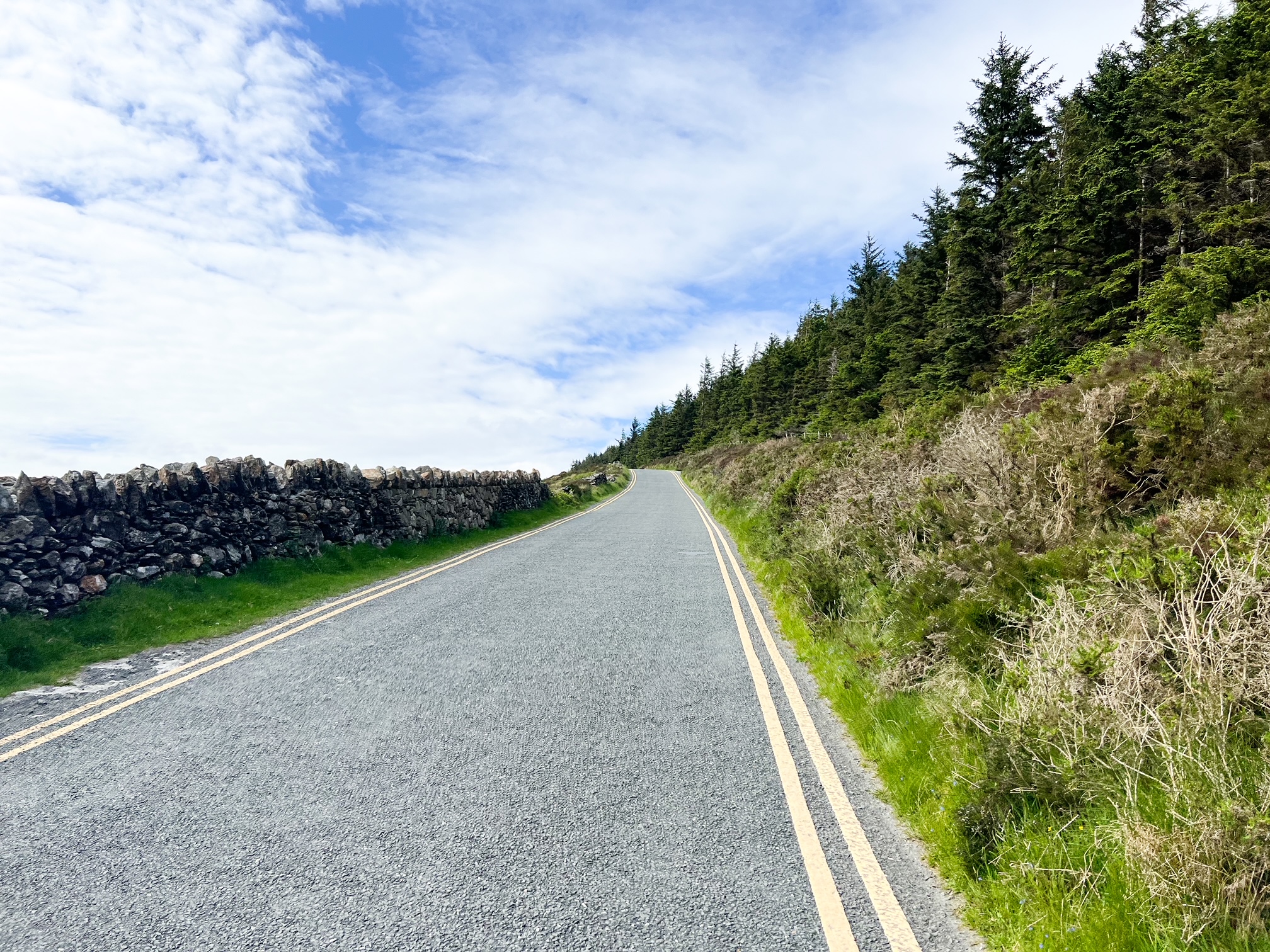 road going along in wicklow ireland near Ballinastoe Woods