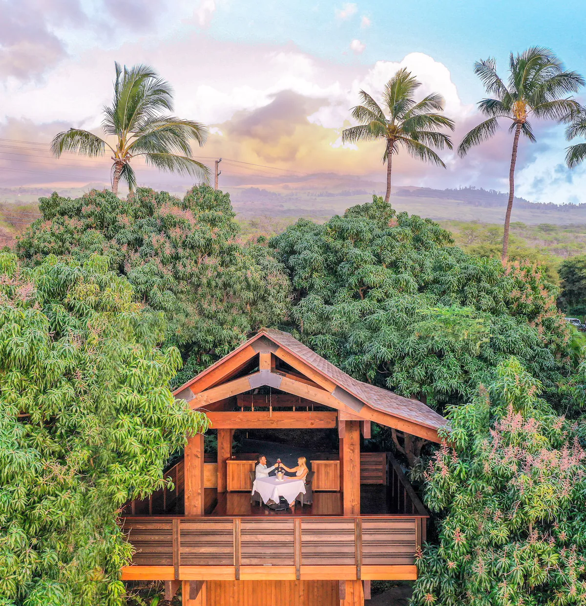 couple having a meal in a treehouse surrounded by trees. 