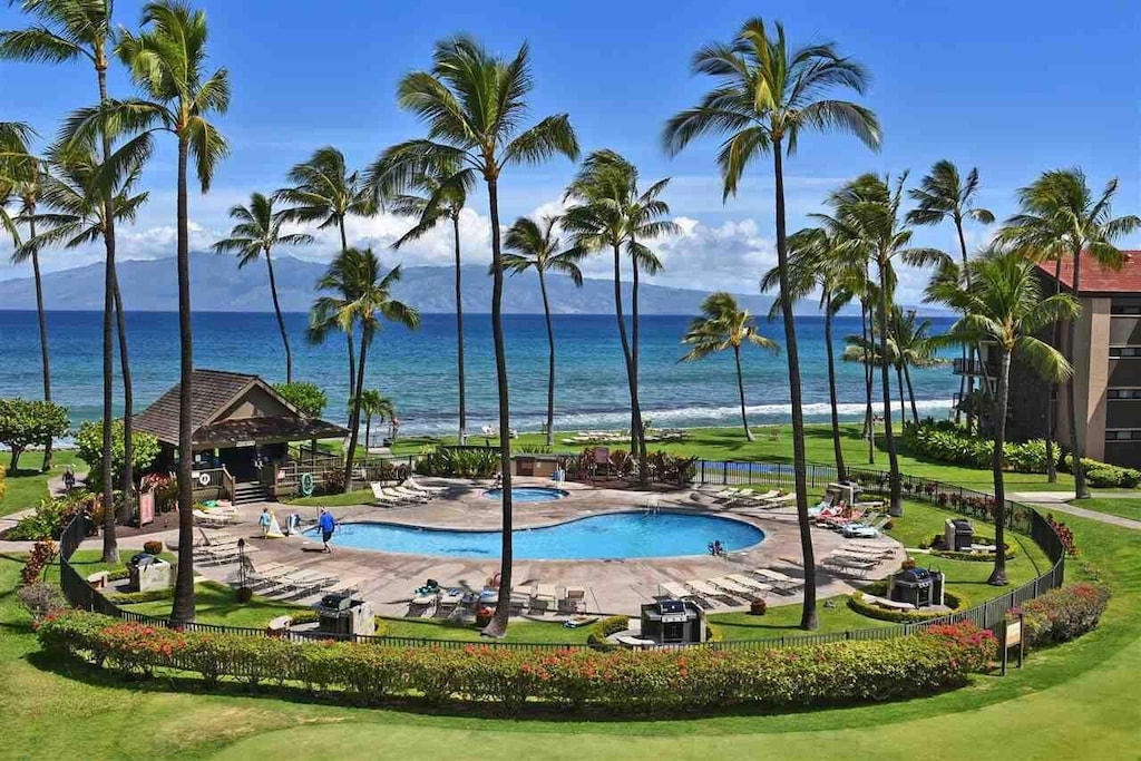 View of the palm trees, pool, and ocean beyond of this oceanview penthouse.