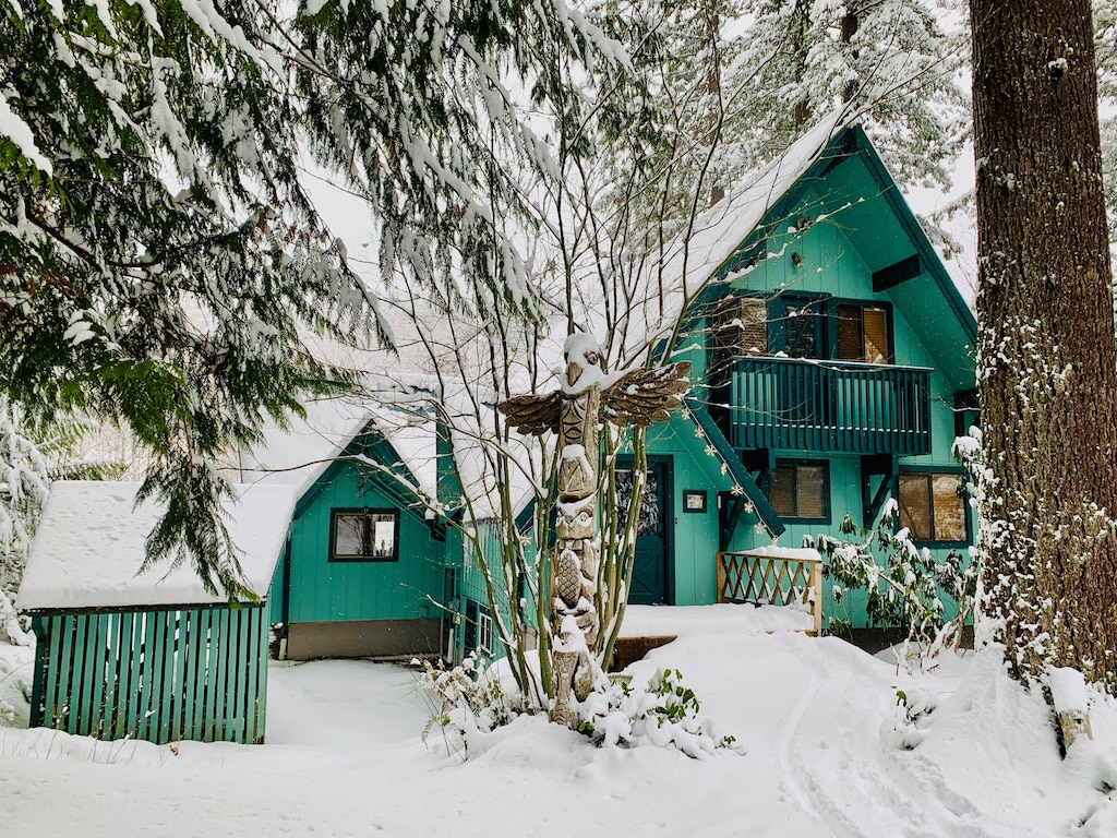 View of the exterior of this striking teal cabin in the snow