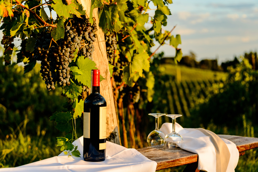 A wine bottle and glasses sit on a table near a vineyard.