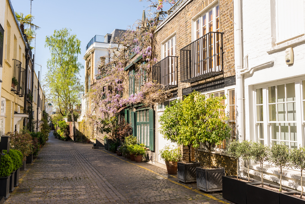 Pretty alley in South Kensington full of potted plants.