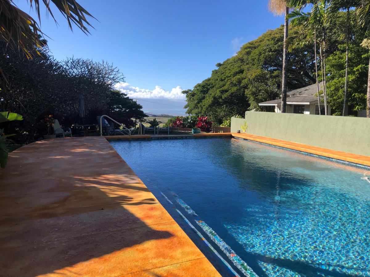 The pool at the Banyan Tree B&B Retreat with jungle views.