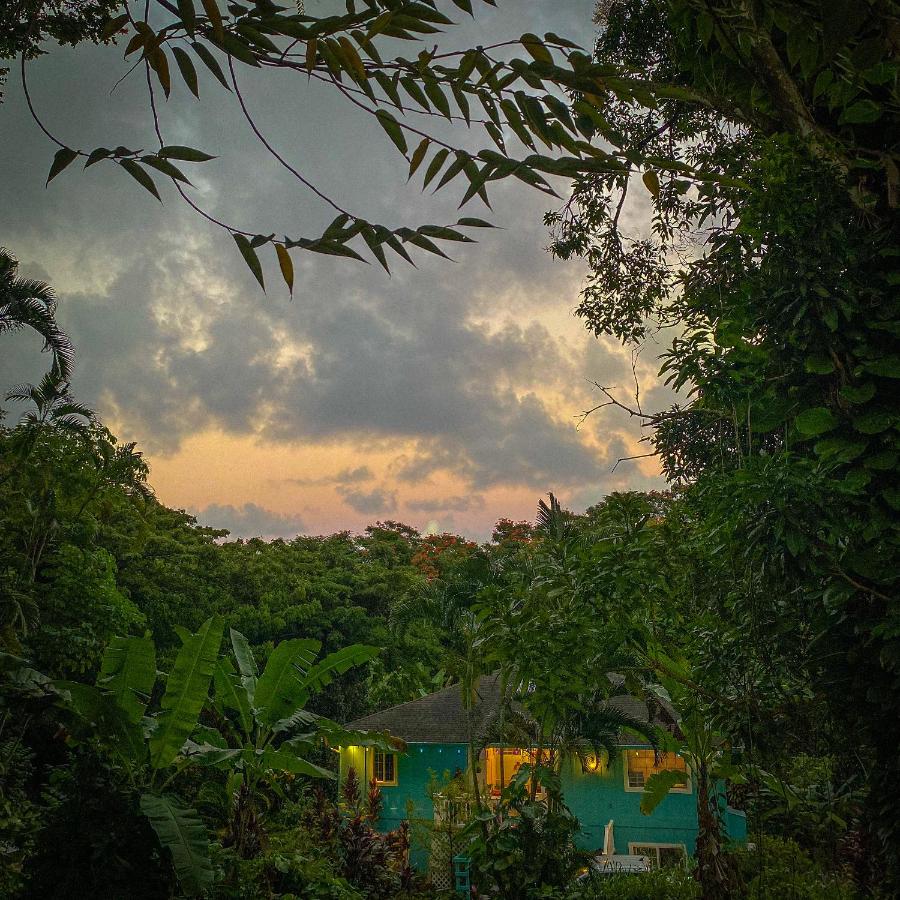 Lush forest sunset with blue hotel.