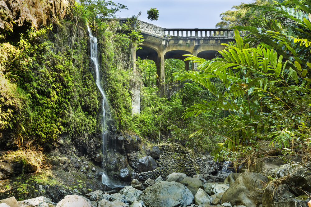 Lush jungle with waterfall along the Road to Hana.
