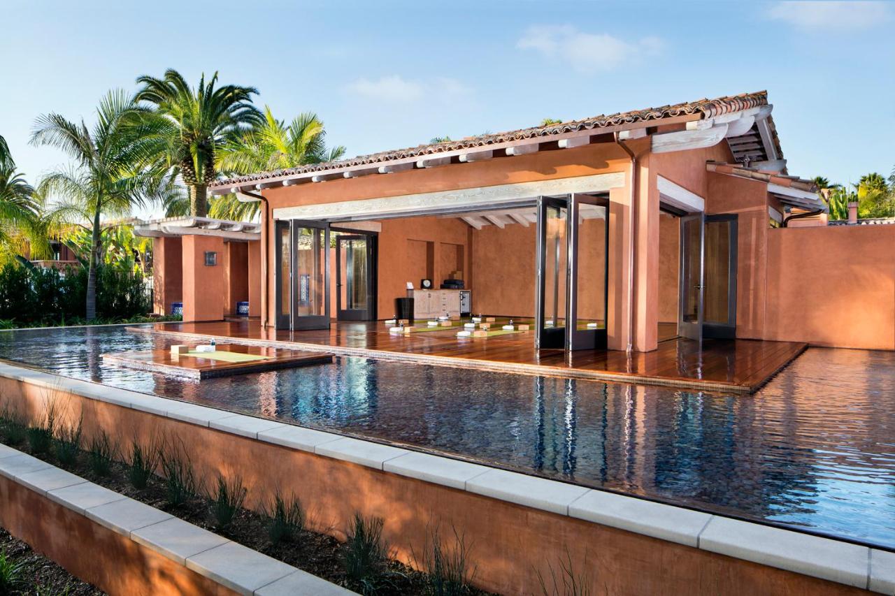 An infinity pool with an attached sunroom and bar surrounded by palm trees
