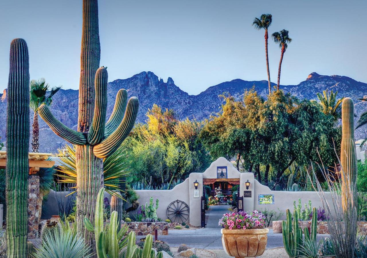 the entrance to Hacienda Del Sol with saguaro cacti in the foreground and mountains in the background