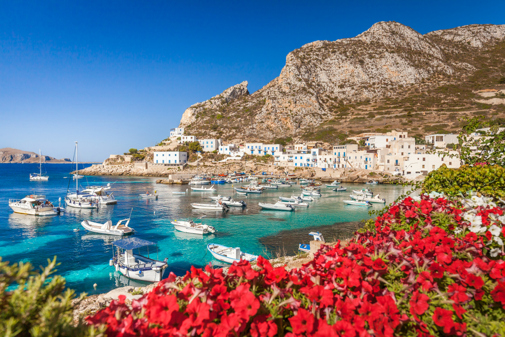 View of the bay filled with fishing boats near the white buildings of Levanzo with red flowers in the foreground.