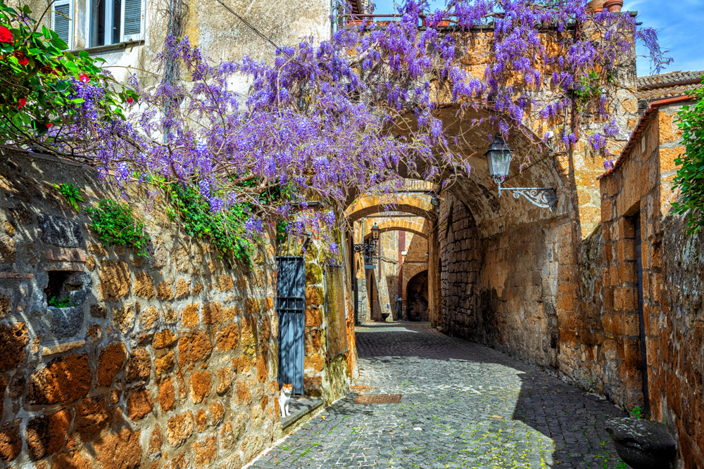 Beautiful stone alleyway in Orvieto with purple wisteria growing across it.