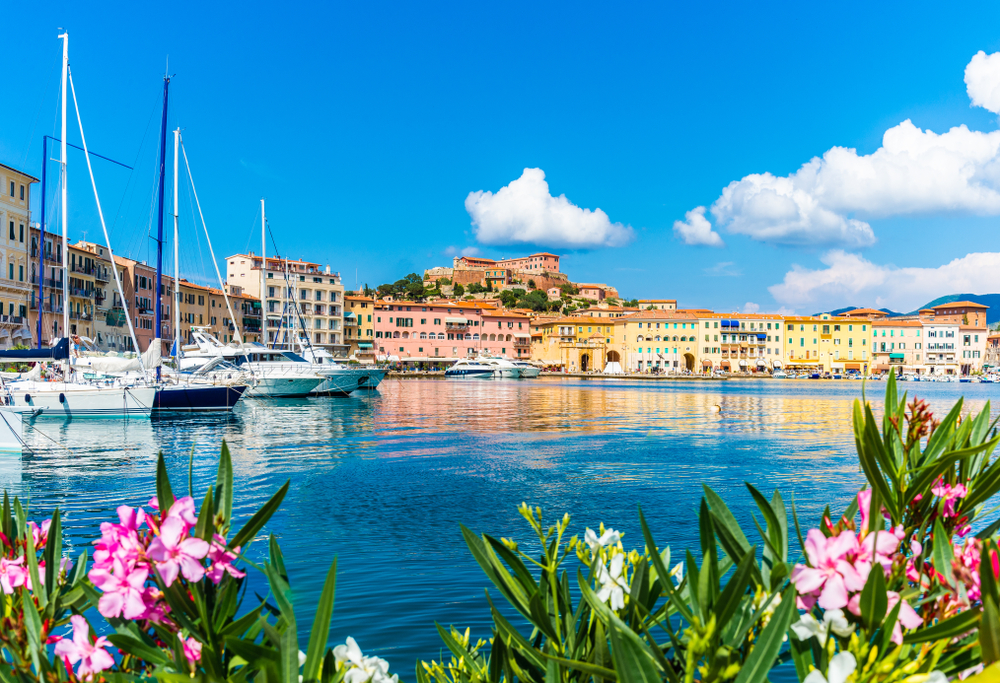 View through flowers of the harbor of Portoferraio with boats and colorful buildings in the distance.
