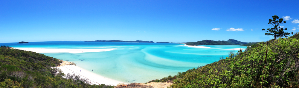 This photo shows Whitehaven Beach with its tropical shores-- there is always white sands, blue waters, and greenery around the scenery at one of the best beaches in the world! 