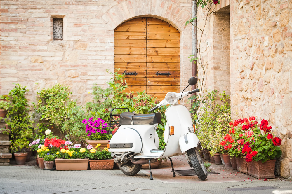 White Vespa next to potted flowers.
