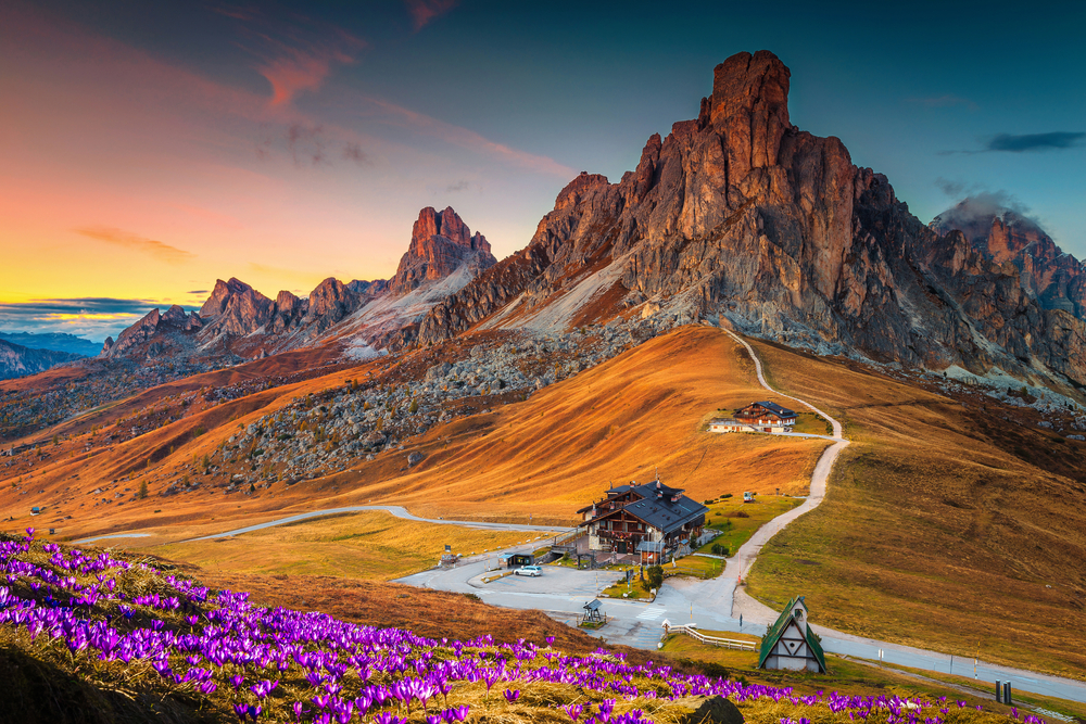 Wonderful alpine scenery with spring crocus flowers on the hill and spectacular mountains at sunset, Giau pass, Dolomites