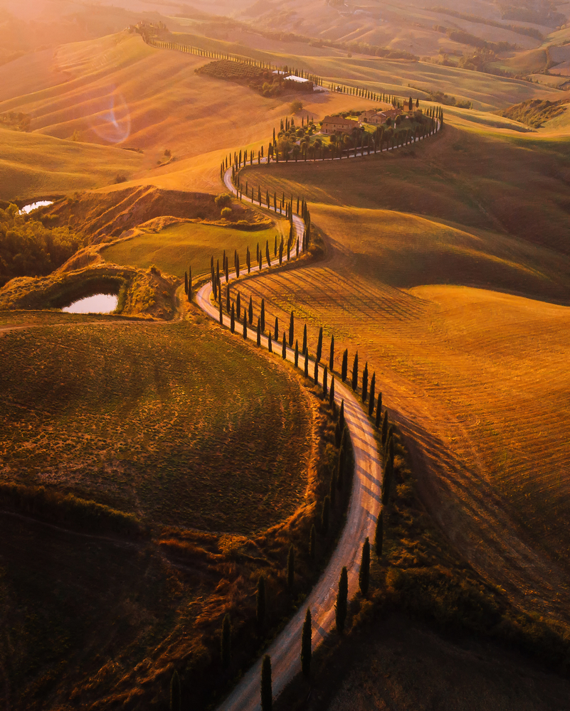 Beautiful golden sunrise in Val D'Orcia, Tuscany, Italy with vineyard. Natural idillyc seasonal autumn background.