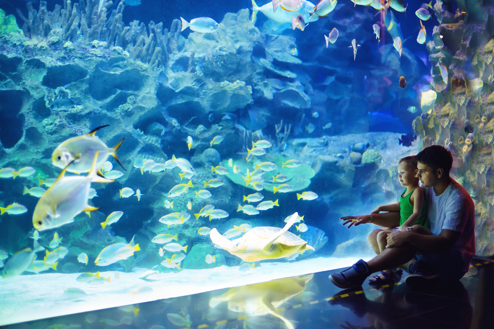 A young father sits with his toddler in his lap as he points to fish that swim by at the aquarium.