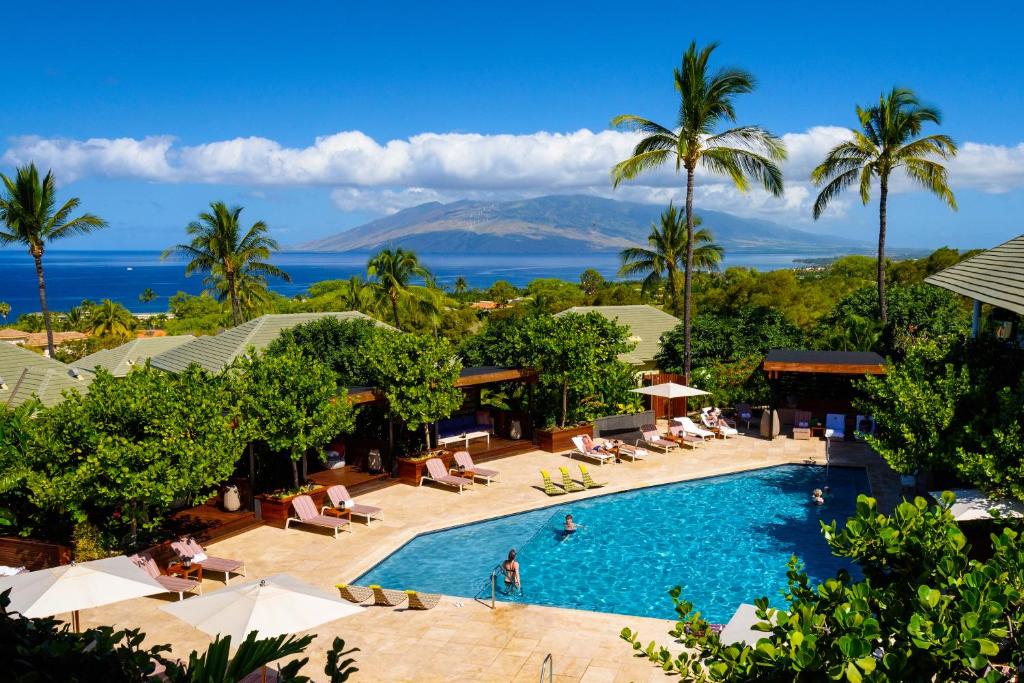 Pool surrounded by lush green foliage with the ocean and mountains in the background. 