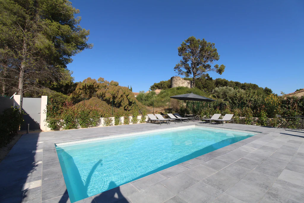 View of a large swimming pool surrounded by olive groves. 