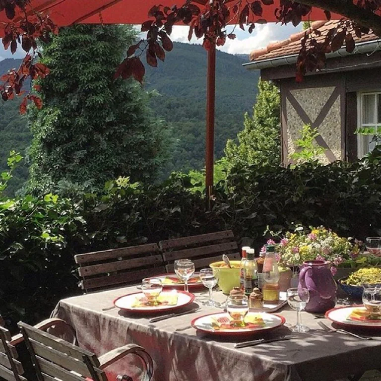 View of a dinner table set in the garden with a view of the mountains beyond. 