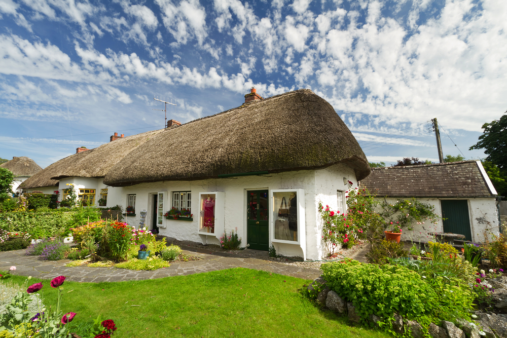 White thatched roof cottage with big garden.