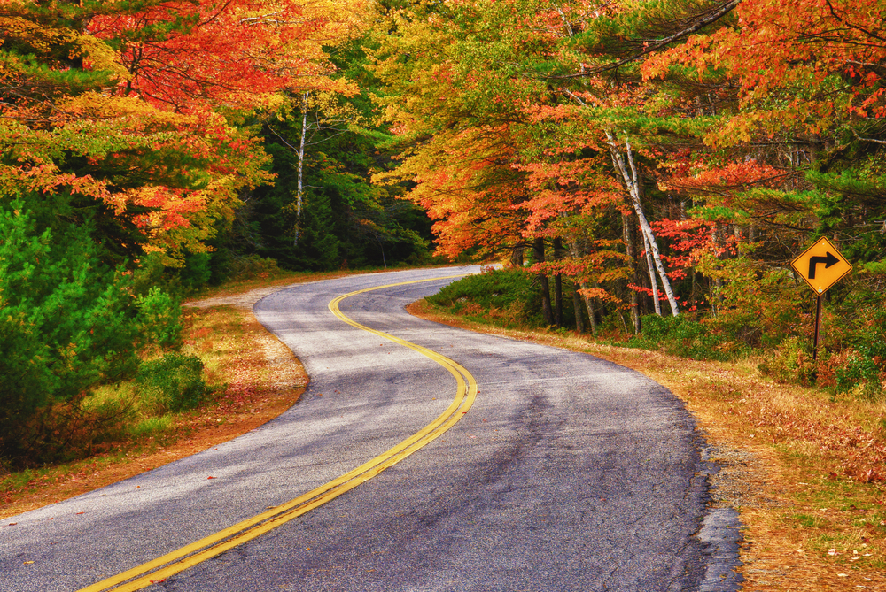 Road curving through beautiful fall foliage on one of the best road trips in the USA.