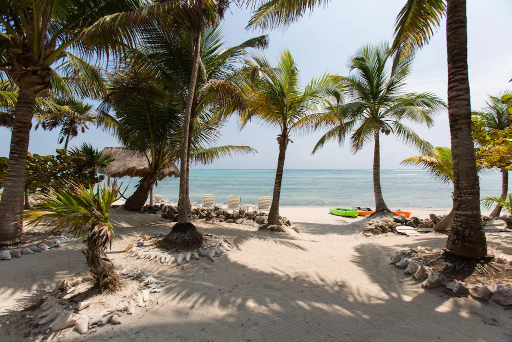 View of the palm trees, lounge chairs, shade structure, and kayaks on the private beach of the beachfront villa