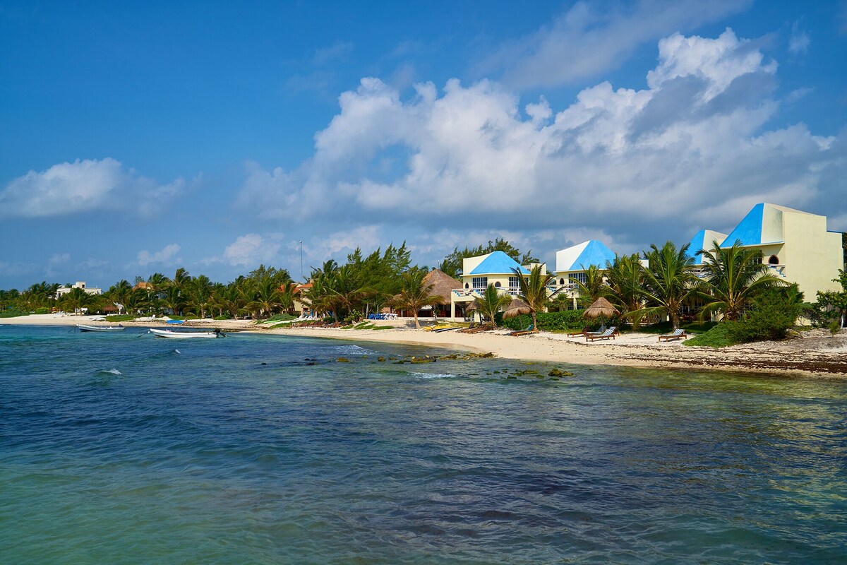 View of a row of bungalows on the beach surrounded by palm trees.