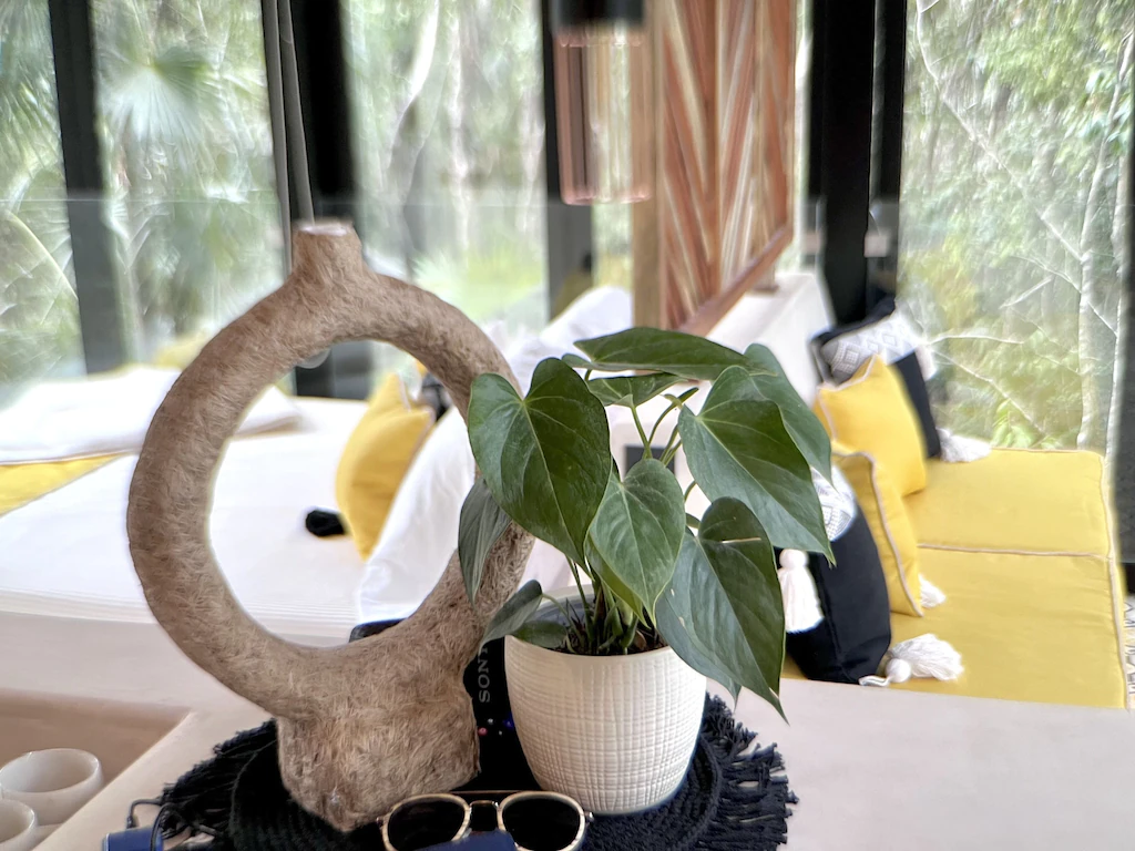 View of the very instagrammable indoor plants, yellow accents,  and huge windows in the Reflection loft. 