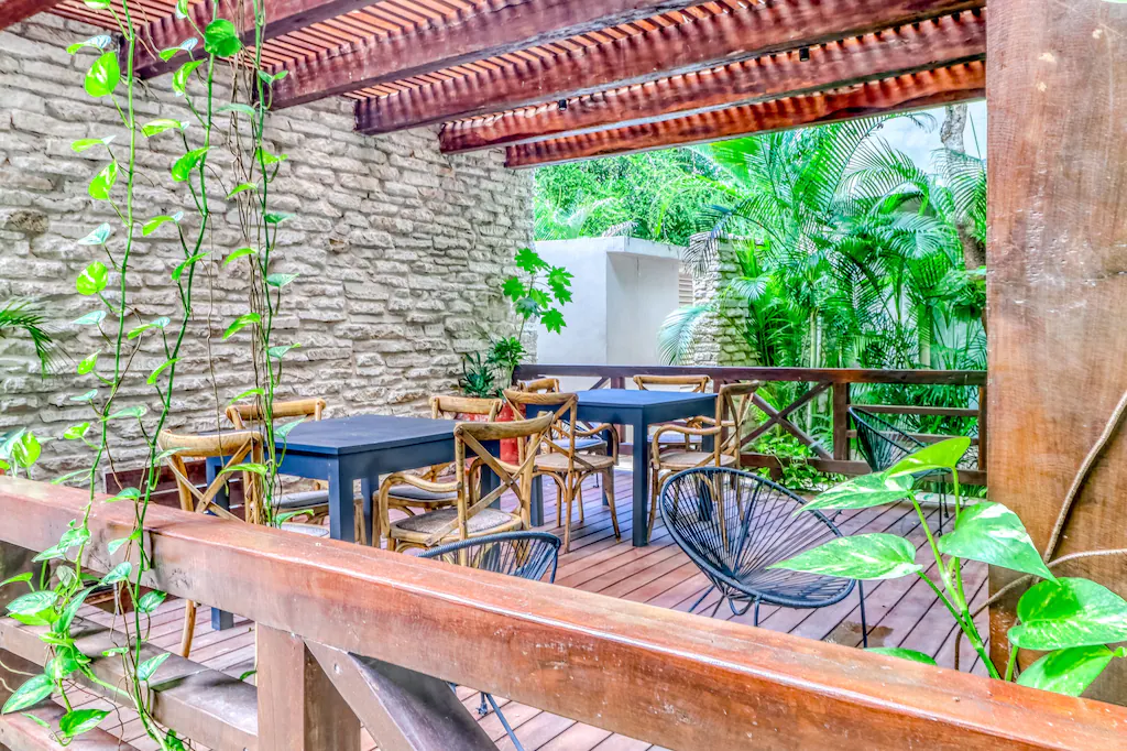 View of the patio area surrounded by huge pothos plants and palm trees at the Modern Apartment, one of the best Airbnbs in Quintana Roo